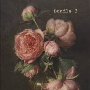 Bundle 3